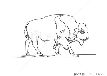 Continuous one line drawing powerful wild bison or buffalo walking steadily forward across grassland clearing. Curved horns, distinct shoulder hump. Single line draw design vector graphic illustration Continuous one line drawing powerful wild bison or buffalo walking steadily forward across grassland clearing. Curved horns, distinct shoulder hump. Single line draw design vector graphic illustration 143613722