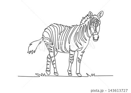 Single continuous line drawing wild zebra standing attentively while turning its head. Distinctive striped coat pattern, tufted tail, and upright mane. One line draw graphic design vector illustration Single continuous line drawing wild zebra standing attentively while turning its head. Distinctive striped coat pattern, tufted tail, and upright mane. One line draw graphic design vector illustration 143613727