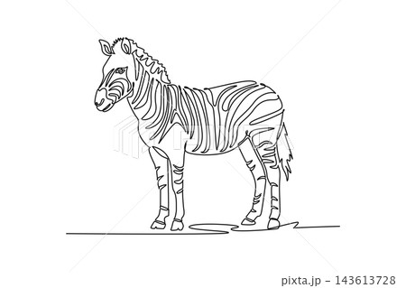 Single continuous line drawing wild zebra standing upright and alert on the savanna ground. Distinctive monochrome stripe, short mane, and perked ears. One line draw graphic design vector illustration Single continuous line drawing wild zebra standing upright and alert on the savanna ground. Distinctive monochrome stripe, short mane, and perked ears. One line draw graphic design vector illustration 143613728