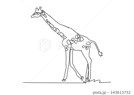 Single one line drawing tall giraffe walking gracefully across savanna grassland. Long patterned neck, spotted hide, slender legs, upright gait. Continuous line draw design graphic vector illustration Single one line drawing tall giraffe walking gracefully across savanna grassland. Long patterned neck, spotted hide, slender legs, upright gait. Continuous line draw design graphic vector illustration 143613732