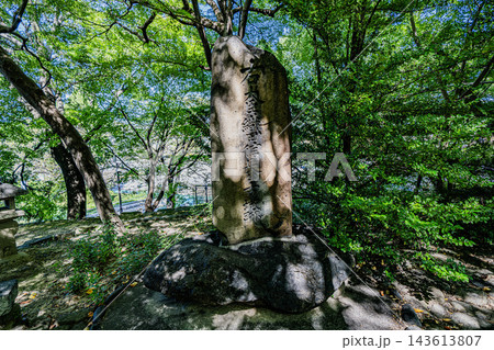 清洲古城公園の景色 143613807