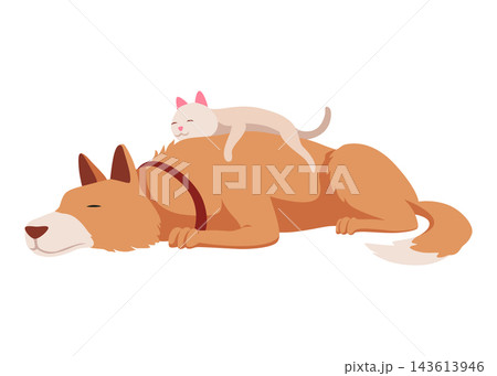 Cats and dog characters best happy friends. Together spending time isolated on white background. Funny flat cartoon colorful friendship pets. Vector illustration Cats and dog characters best happy friends. Together spending time isolated on white background. Funny flat cartoon colorful friendship pets. Vector illustration 143613946
