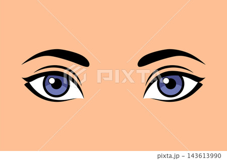 Stylized female eyes and brows on peach background Stylized female eyes and brows on peach background 143613990