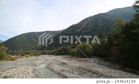 色づき始めた森に囲まれた山あいを流れる川と、石の広い河原 色づき始めた森に囲まれた山あいを流れる川と、石の広い河原 143614139