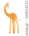 Funny giraffe. Giraffe in a cartoon style, is isolated on white background. Trendy design little kids giraffe 143614215