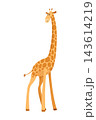 Funny giraffe. Giraffe in a cartoon style, is isolated on white background. Trendy design little kids giraffe 143614219