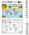 Safari animals coloring page for children with pink flamingos. Vector outline illustration with savanna nature scene. Color book with example. Drawing worksheet with African landscape, birds 143614990