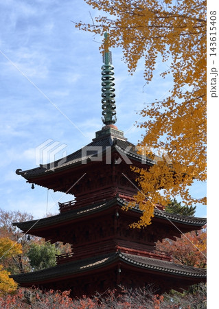 秋の寺院風景 黄金色に色づくイチョウの黄葉と五重塔 千葉・市川 中山法華経寺 143615408