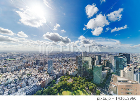 高層ビルの間から望む緑豊かな公園と東京の街並み 143615960