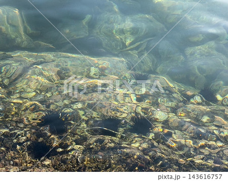 透き通った海と水底に広がる石の風景 透き通った海と水底に広がる石の風景 143616757