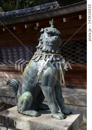 大石神社　本殿の狛犬　京都市山科区西野山 143616818