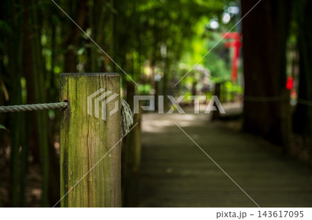苔のついた木柵と背景にぼける竹林の散策路 苔のついた木柵と背景にぼける竹林の散策路 143617095