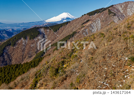 丹沢表尾根・行者岳付近から見る大倉尾根と富士山 丹沢表尾根・行者岳付近から見る大倉尾根と富士山 143617164