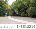 緑豊かな武蔵一宮氷川神社の境内と朱色の鳥居 143618219