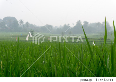 An aerial view of the Indonesian landscape in the morning, shrouded in smoke from burning forests and rice fields An aerial view of the Indonesian landscape in the morning, shrouded in smoke from burning forests and rice fields 143618844