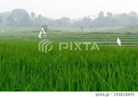 An aerial view of the Indonesian landscape in the morning, shrouded in smoke from burning forests and rice fields 143618845