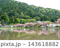 滋賀県長浜市 八重桜と水田に映った反射が美しい伊香具神社前の参道沿い 滋賀県長浜市 八重桜と水田に映った反射が美しい伊香具神社前の参道沿い 143618882