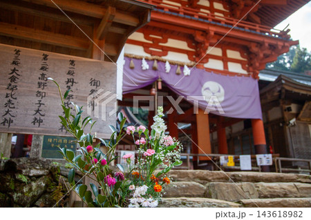 神社の境内に咲く花 神社の境内に咲く花 143618982