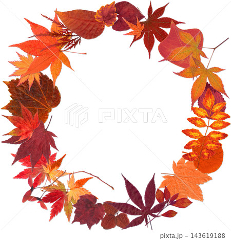 真っ赤な紅葉がいっぱいの、秋色の切抜きリース 真っ赤な紅葉がいっぱいの、秋色の切抜きリース 143619188