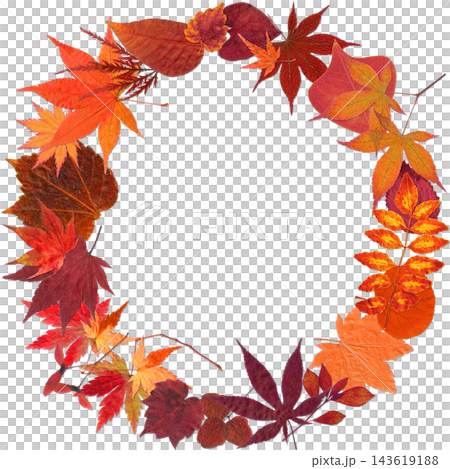 真っ赤な紅葉がいっぱいの、秋色の切抜きリース 真っ赤な紅葉がいっぱいの、秋色の切抜きリース 143619188