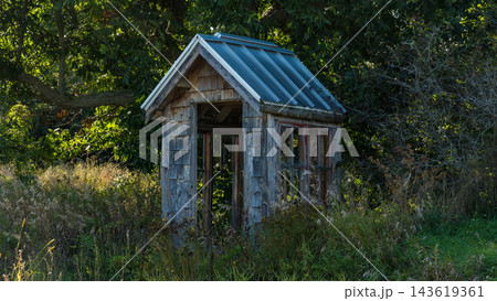 Rustic weathered wooden garden shelter with blue metal roof surrounded by tall grass and trees in a woodland clearing Rustic weathered wooden garden shelter with blue metal roof surrounded by tall grass and trees in a woodland clearing 143619361