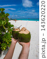 Two people raise green coconuts with straws on a white sand Maldives beach. Turquoise water, a jetty, a thatched pavilion, sunbathers, and coastal plants appear in bright daylight. 143620220