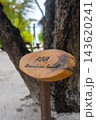 A small wooden plant marker reads FUNA Abamandraea laurel beside a rough bark tree, sandy soil, and blurred palms in a Maldives resort path under soft daylight. 143620241