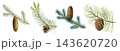 watercolor drawing branch of spruce 143620720
