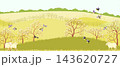 vector drawing spring landscapes with blue tit birds,sheep, flowers, sun and trees, hand drawn illustration 143620727
