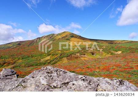 栗駒山の紅葉　岩の上から 143620834