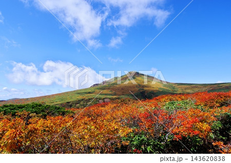 栗駒山の紅葉 栗駒山の紅葉 143620838