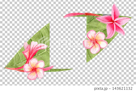 Pink plumeria flowers and green leaves watercolor tropical frame with an open rectangular space. Hand painted exotic floral design perfect for invitations, cards, stationery and summer decorations Pink plumeria flowers and green leaves watercolor tropical frame with an open rectangular space. Hand painted exotic floral design perfect for invitations, cards, stationery and summer decorations 143621132