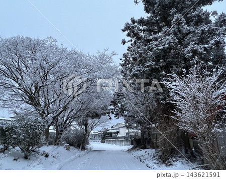 雪の積もった冬 143621591