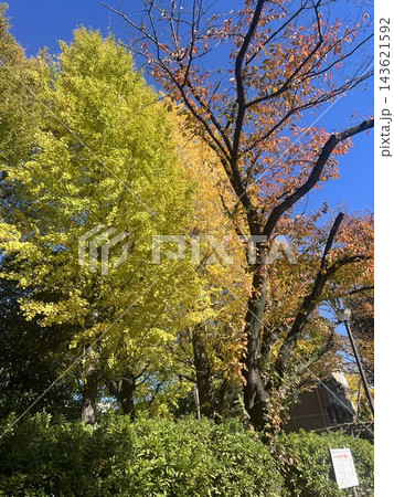 紅葉 143621592