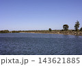 青空の下に広がる南オーストラリアの水辺と緑豊かな岸辺 青空の下に広がる南オーストラリアの水辺と緑豊かな岸辺 143621885