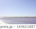 南オーストラリア州バンブンガ湖のピンク色の塩湖とLoch-Eel Monster 南オーストラリア州バンブンガ湖のピンク色の塩湖とLoch-Eel Monster 143621887
