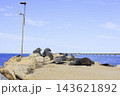 ヨーク半島の岩場で日光浴をして休むオーストラリアのオットセイ ヨーク半島の岩場で日光浴をして休むオーストラリアのオットセイ 143621892