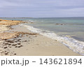 南オーストラリアの白い砂浜と茶色い岩礁が広がる海岸風景 南オーストラリアの白い砂浜と茶色い岩礁が広がる海岸風景 143621894