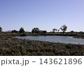 南オーストラリア州の沿岸湿地とサンプファイアが広がる塩性湿地 南オーストラリア州の沿岸湿地とサンプファイアが広がる塩性湿地 143621896