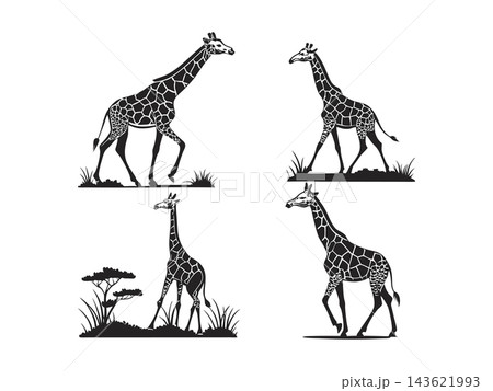Collection of Camelopard silhouette Collection of Camelopard silhouette 143621993