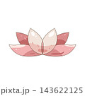 Illustration of pink lotus flower 143622125