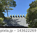 新緑に包まれた熱田神宮 143622269