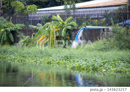 Effluent from a large pipe flows directly into a public canal, Thailand 143623257