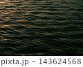 さざ波が立つ港の水面と夕方の日差し 143624568