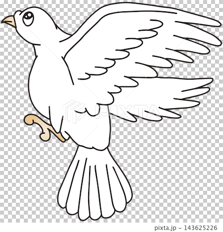 手繪動物插畫☆白鴿 手繪動物插畫☆白鴿 143625226