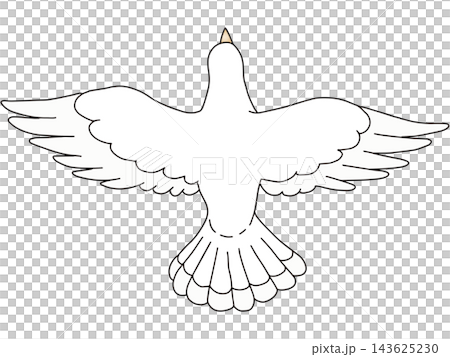 手繪動物插畫☆白鴿 手繪動物插畫☆白鴿 143625230