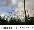電柱と電線のある秋空を背景に穂を伸ばすススキの風景 143625695