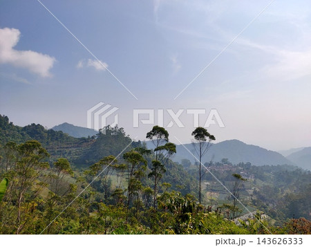 Mountain valley with fields and trees Mountain valley with fields and trees 143626333