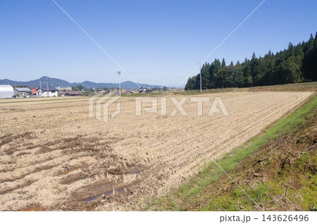 稲刈り後の田んぼと青空が広がるのどかな田園風景 稲刈り後の田んぼと青空が広がるのどかな田園風景 143626496