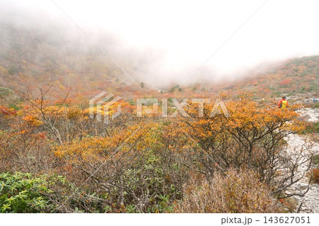 雲海に抱かれた那須高原茶臼岳　紅葉の風景 143627051